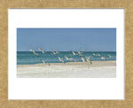 Beach Skimmers Framed Art Print -  Artist Mary Lou Johnson