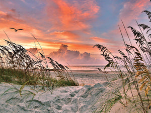 Dancing Sea Oats Puzzle