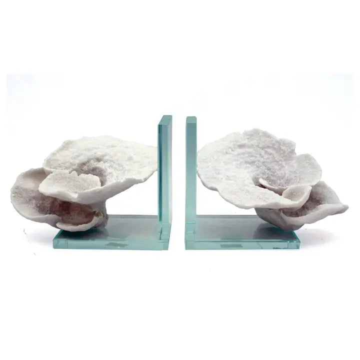 White Montipora Coral Glass Bookends - Set of 2