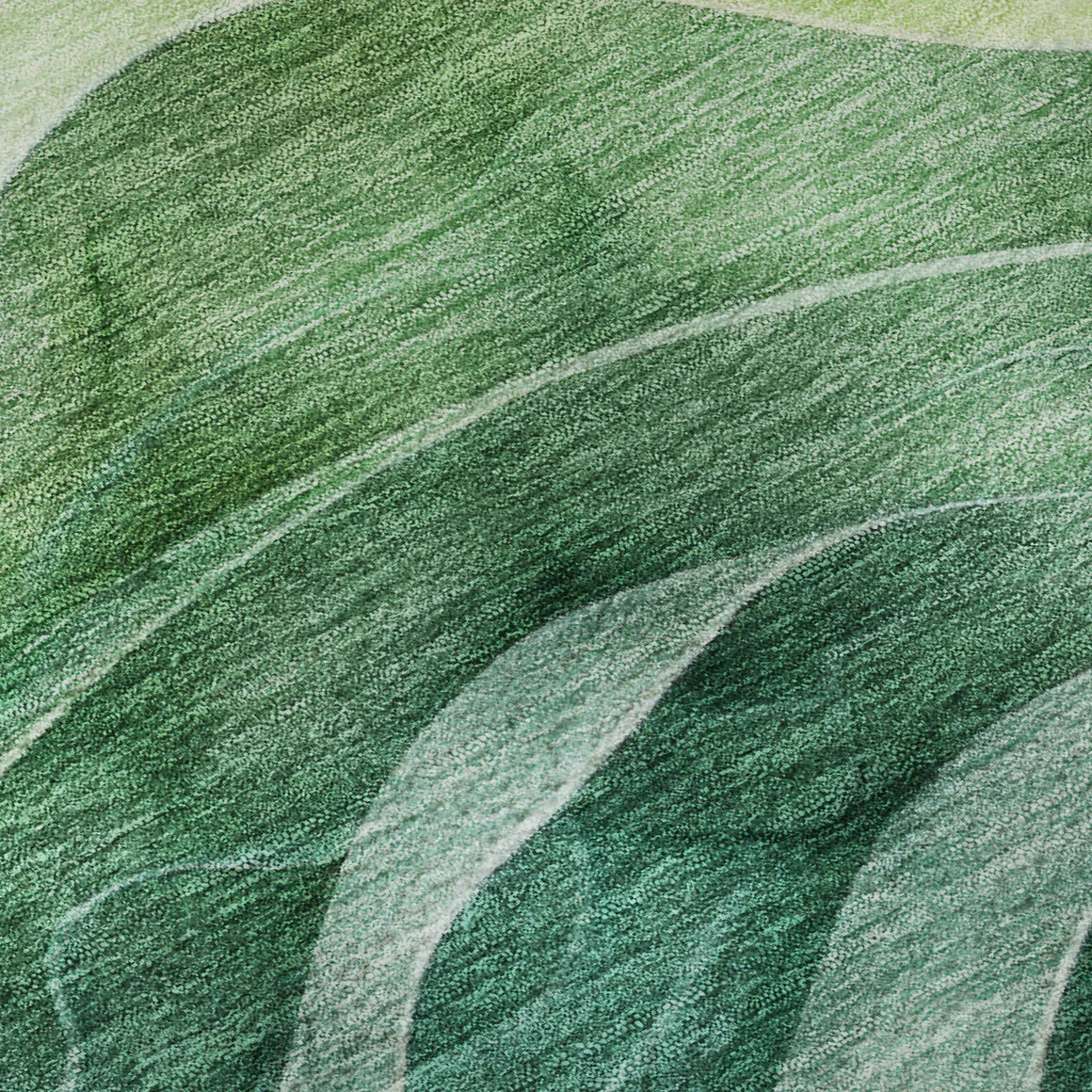 Pacifica Teal Orange Rug