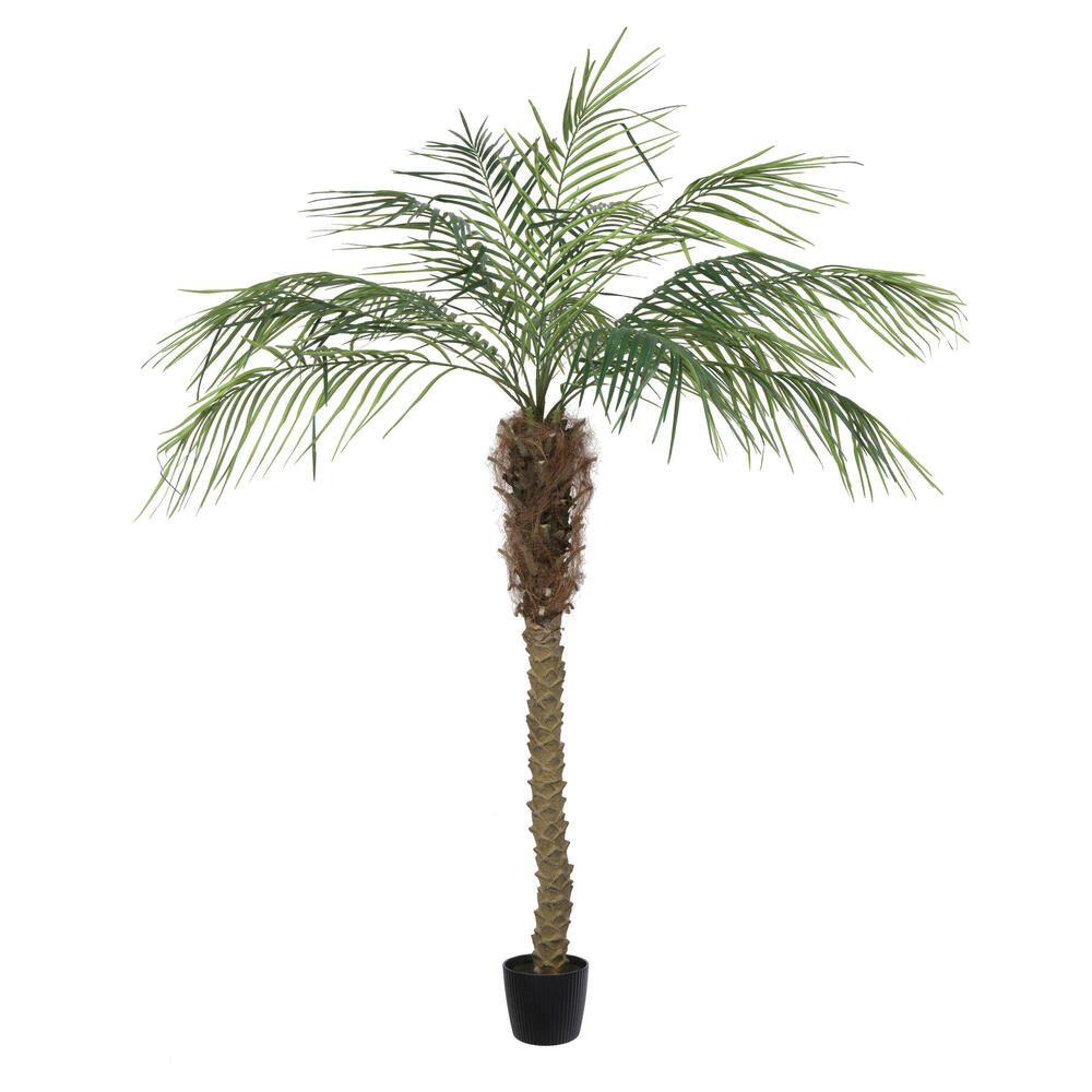 6' Artificial Potted Pheonix Palm Tree
