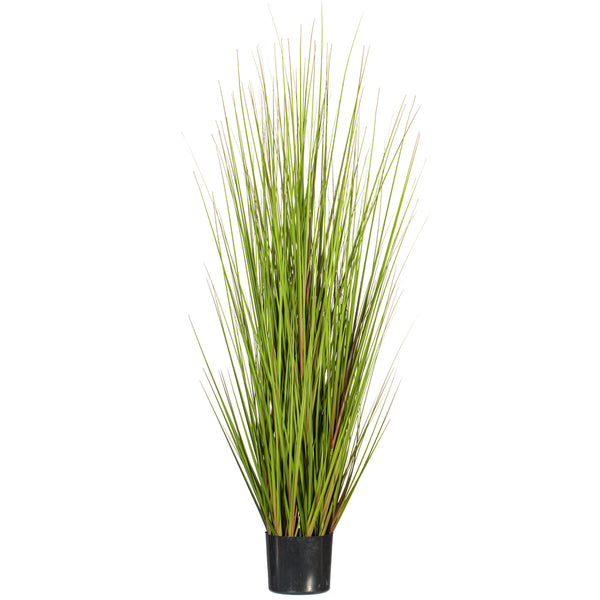 60" Potted Green/Burgundy Flax Grass