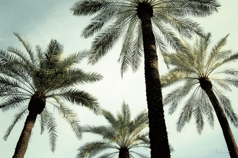 Palm Two Canvas Art Print - Artist Karla West