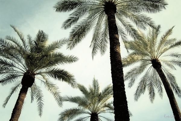 Palm Two Canvas Art Print - Artist Karla West