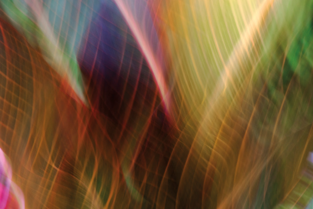 Tropical Abstract 3 Canvas Art Print - Artist Karla West