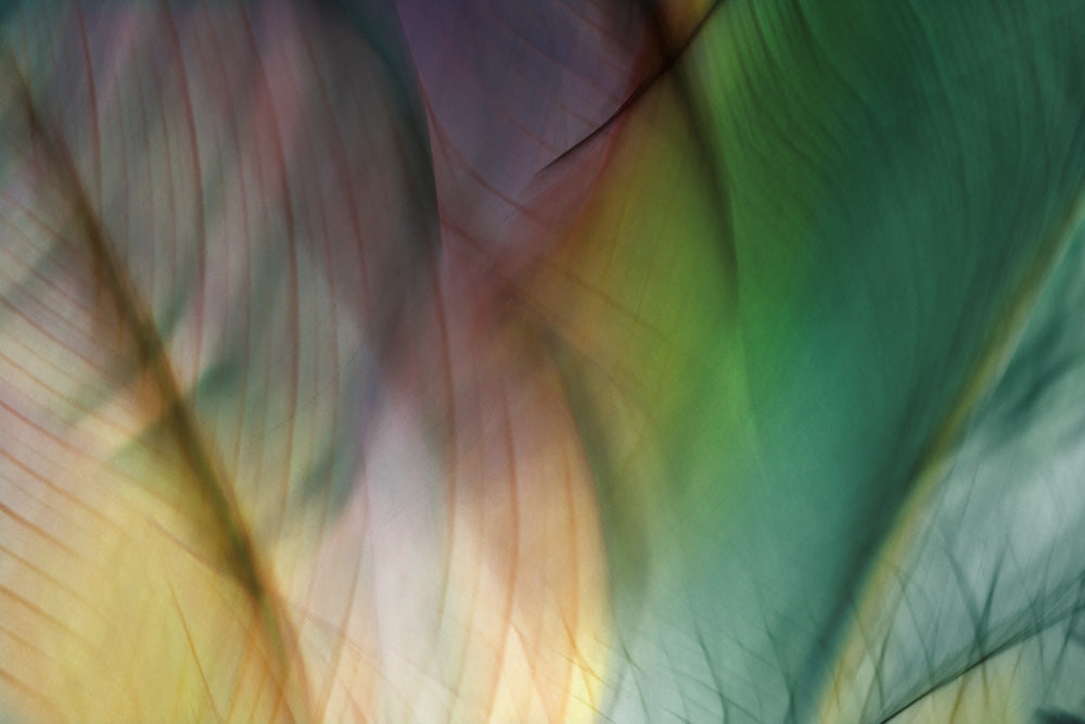 Tropical Abstract 2 Canvas Art Print - Artist Karla West