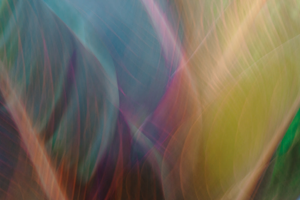 Tropical Abstract 1 Canvas Art Print - Artist Karla West