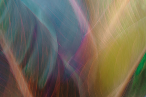Tropical Abstract 1 Canvas Art Print - Artist Karla West