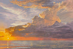 Fantasia Canvas Art Print - Artist David Jenks