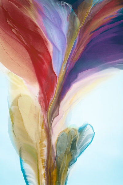 Harmony Canvas Art Print - Artist Dennis Nagatani