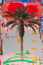Palm 1 Canvas Art Print - Artist David Palmer