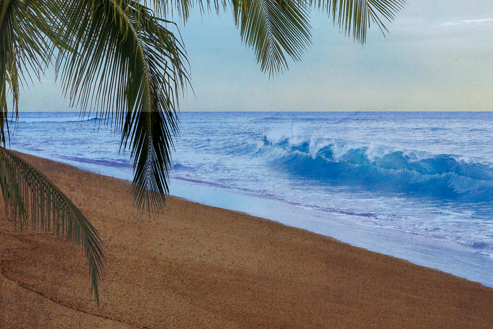 Kaanapali Daydream Left Canvas Art Print - Artist Toby Goodenough
