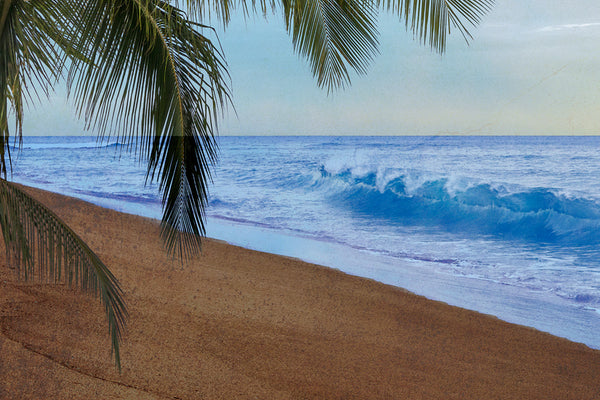 Kaanapali Daydream Left Canvas Art Print - Artist Toby Goodenough