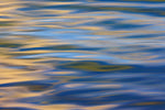 Waves in Hood Canal 1 Canvas Art Print - Artist Donald Paulson