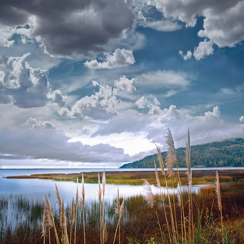 I Deal in Dreams Giclee Canvas Print - Artist William Vanscoy