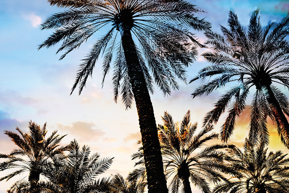 Vintage Palms I Canvas Art Print - Artist  Karla West