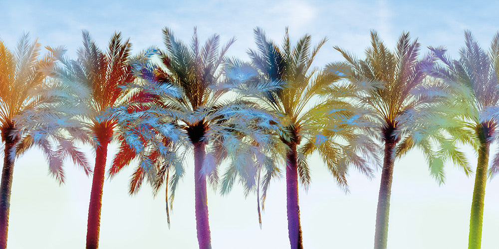 Palm Variations Canvas Art Print - Artist Karla West