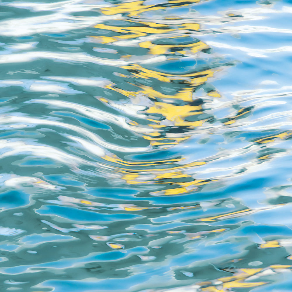 Ocean Observation Giclee Canvas Print - Artist Karla West