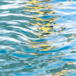 Ocean Observation Giclee Canvas Print - Artist Karla West