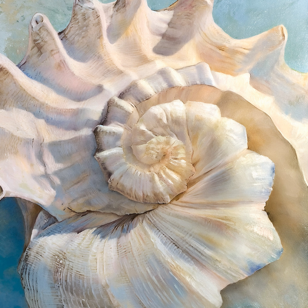 Center Shell Giclee Canvas Print - Artist Steve Hunziker