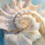 Center Shell Giclee Canvas Print - Artist Steve Hunziker