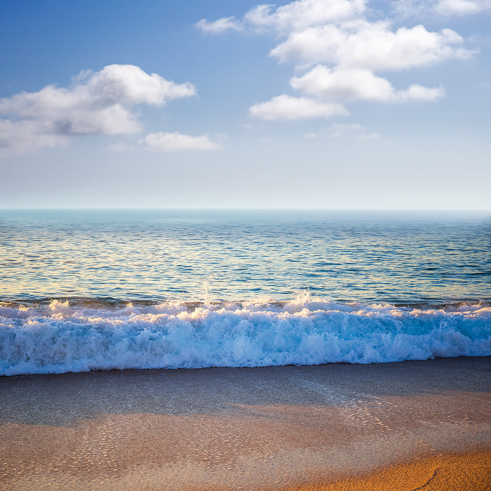 Pacific Clouds Giclee Canvas Print - Artist Barbara Markoff