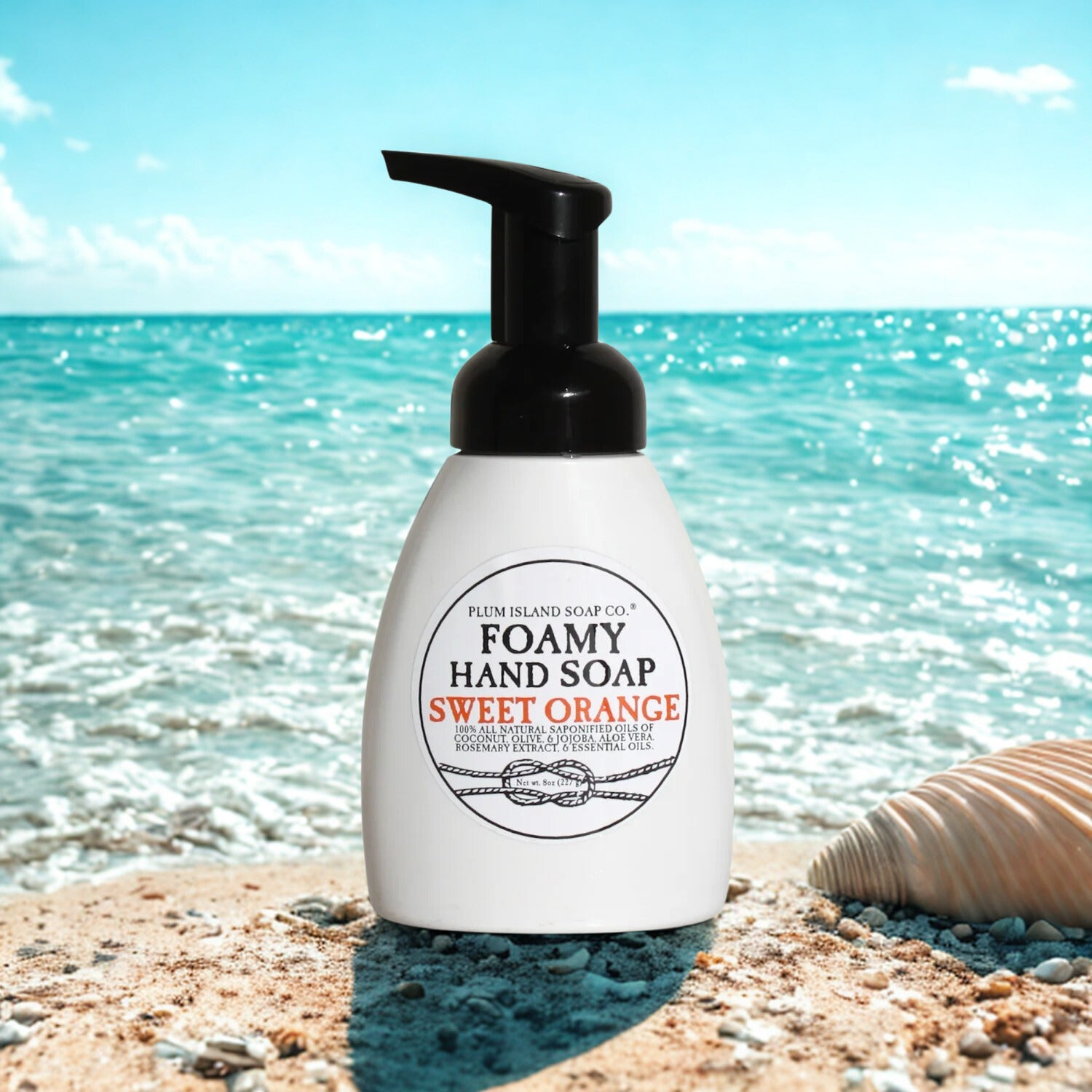 Sweet Orange Foamy Hand Soap