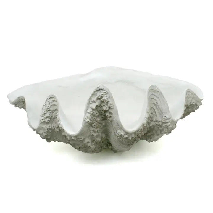 XL Gigas Clam Shell with Barnacles Decorative Bowl