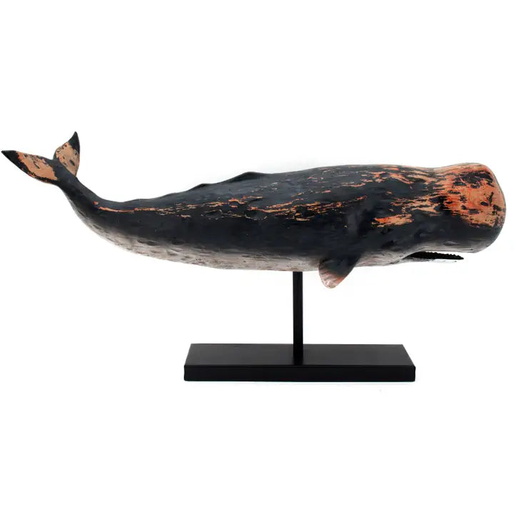 Black Sperm Whale Trophy