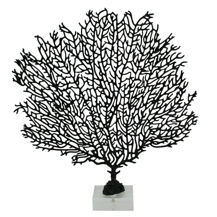 Medium Black Metal Sea Fan