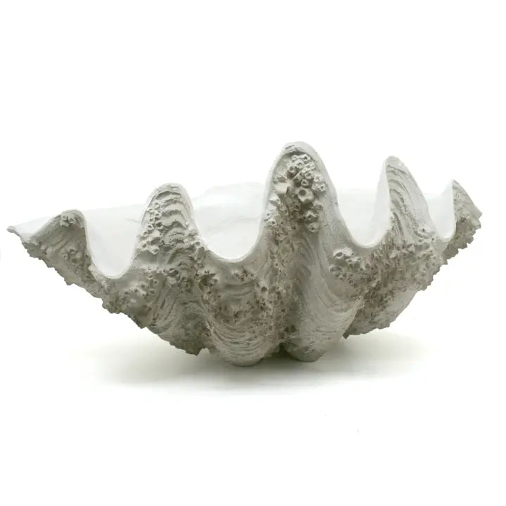 XL Gigas Clam Shell with Barnacles Decorative Bowl