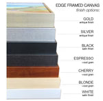 White Noise Giclee Canvas Print - Artist  Jack Brumbaugh