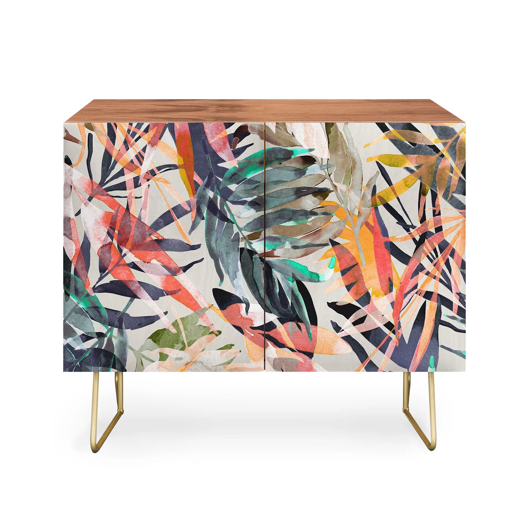 Palms Leaf Colorful Paint 2PB Credenza