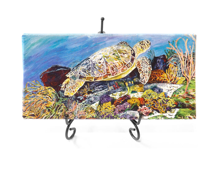 Laynes Turtle Mini Giclee by Kim Rody