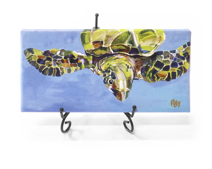 Green Turtle Mini Giclee by Kim Rody