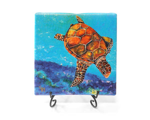 Freestyle Turtle Mini Giclee by Kim Rody