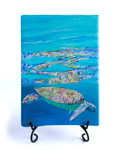 Reflections of a Sea Turtle Mini Giclee by Kim Rody