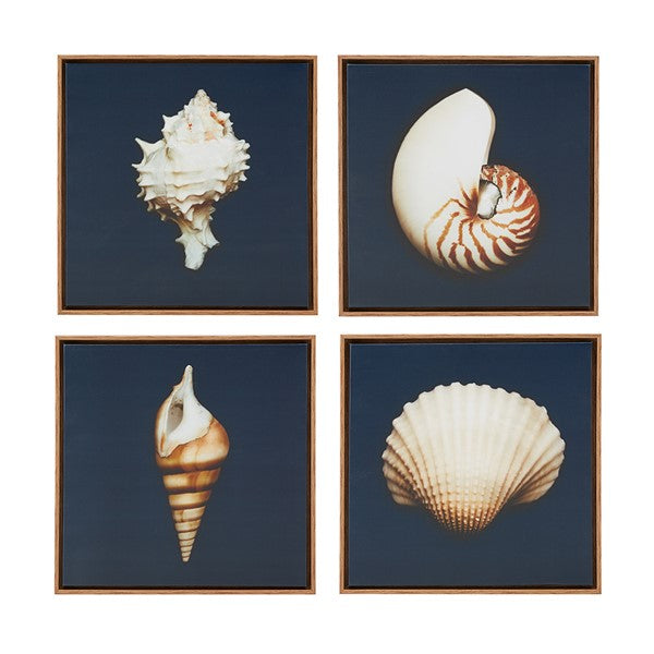 Set of 4 Shell Canvas Prints