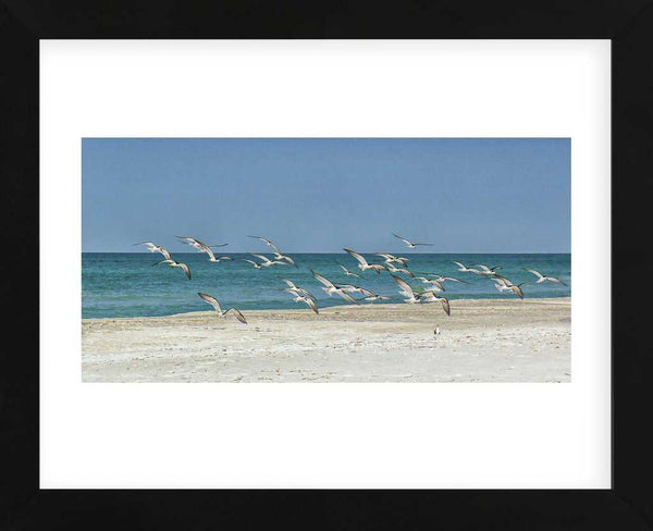 Beach Skimmers Framed Art Print -  Artist Mary Lou Johnson