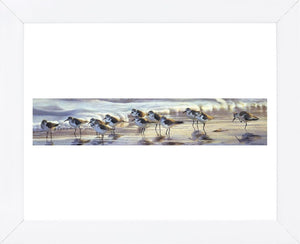Shoreline Sanderlings Framed Art Print -  Artist  Matthew Hillier